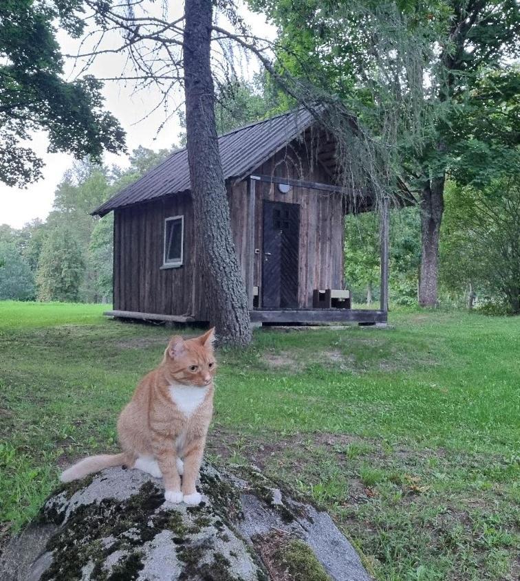 Oandu Camping Hotel Kültér fotó